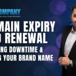 Domain Expiry and Renewal