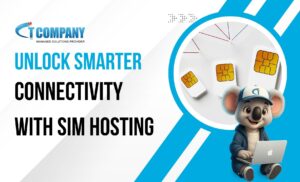 Sim hosting