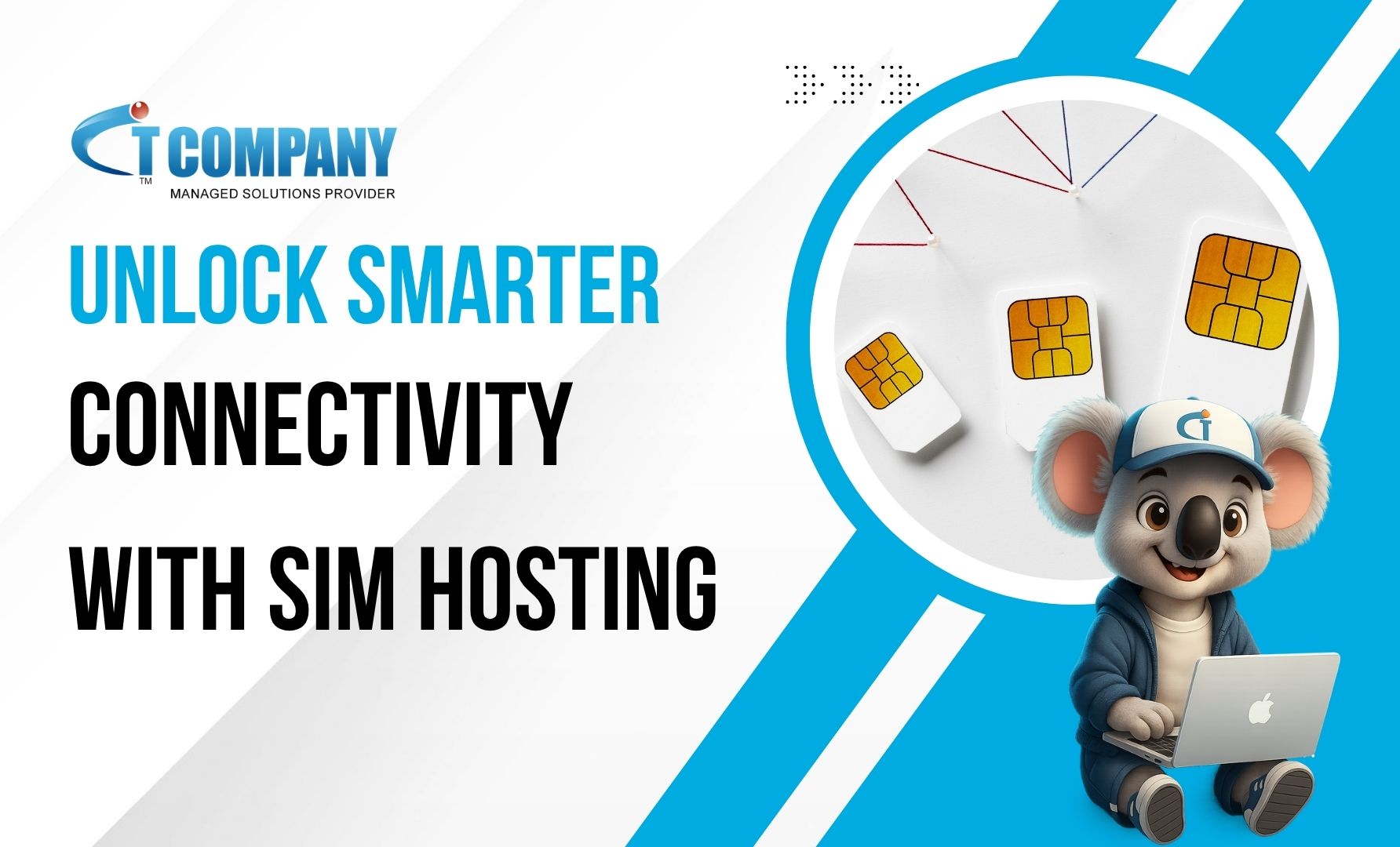 Sim hosting