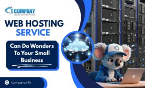 web hosting