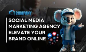Social Media Marketing Agency